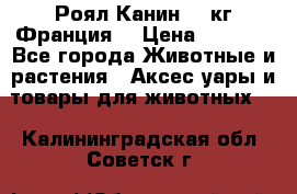  Роял Канин 20 кг Франция! › Цена ­ 3 520 - Все города Животные и растения » Аксесcуары и товары для животных   . Калининградская обл.,Советск г.